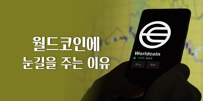 눈길을 주는 이유