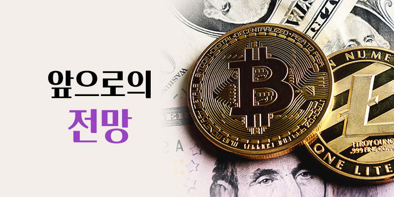 앞으로의 전망