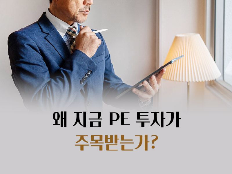 pe 투자