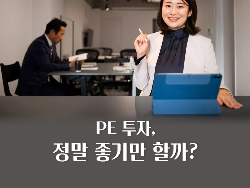 pe 투자 장단점