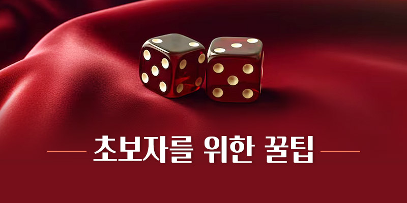 강원랜드 카지노 초보자를 위한 꿀팁