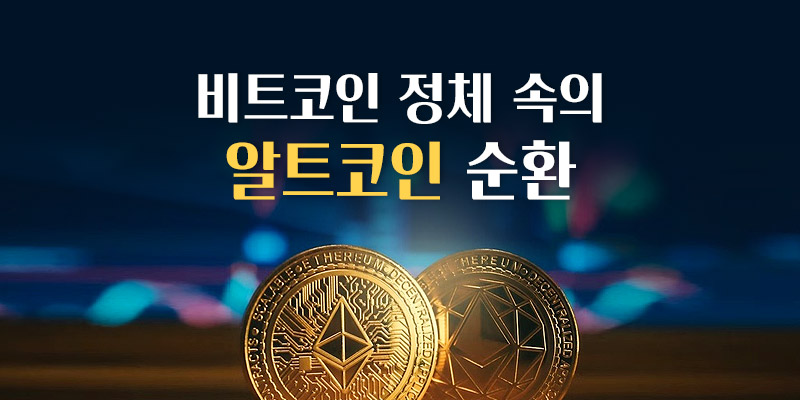 알트코인 순환
