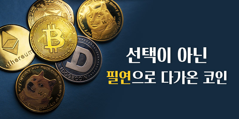 선택이 아닌 필연