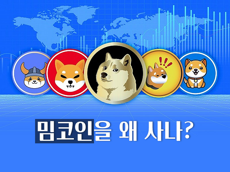 밈코인을 왜사나
