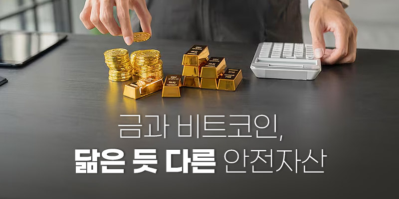 금과 비트코인