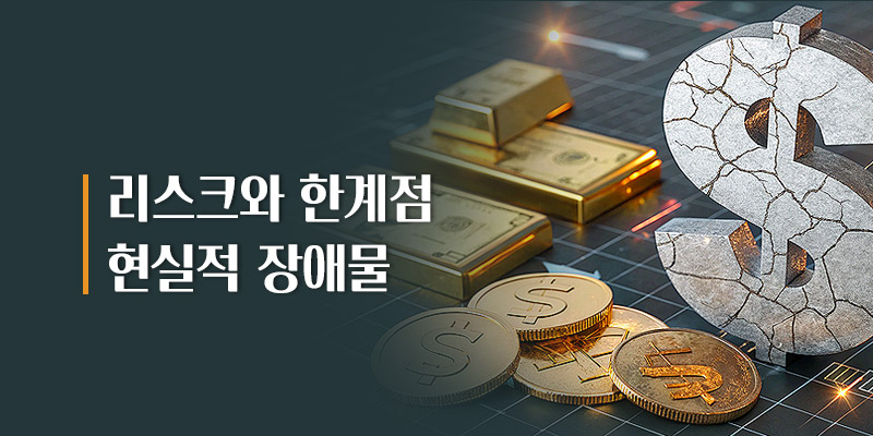 리스크와 한계점