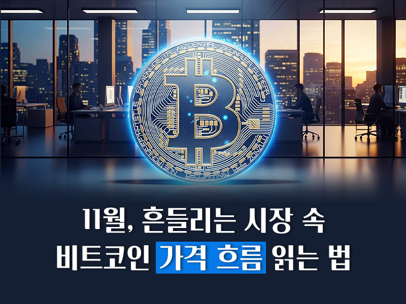 11월 흔들리는 시장